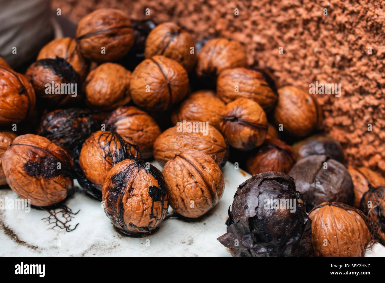 Gruppo di noci su terreno bagnato. Mucchio di noci nel giardino autunnale. Raccolta autunnale. Giardino di noci dopo la pioggia. Noci bagnate sul terreno. Foto Stock