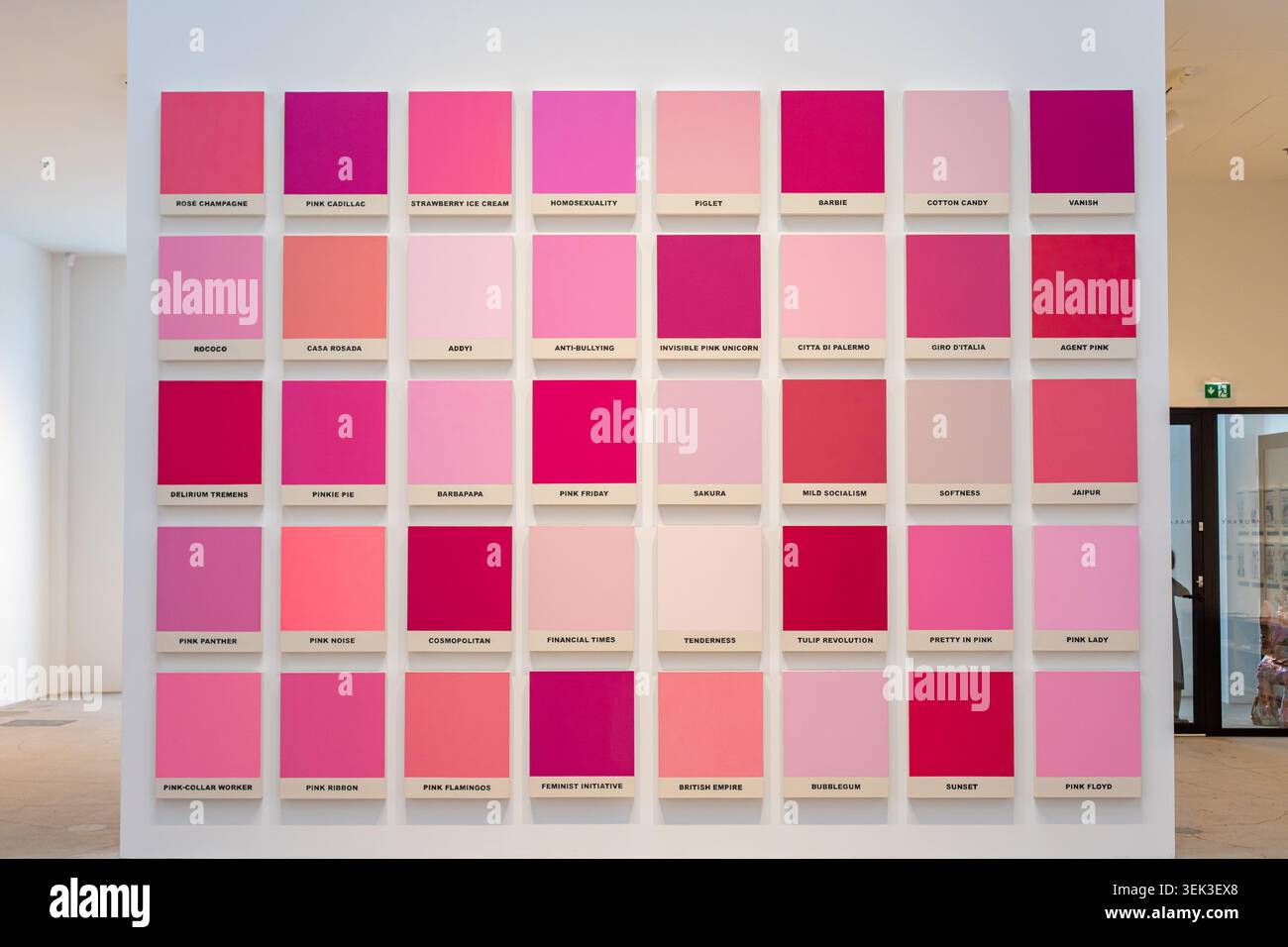 Pink Things (2017), opera di Riiko Sakkinen alla mostra Human Rights Damage Our Economy nella galleria d'arte contemporanea Makasiini di Helsinki, Finlandia Foto Stock