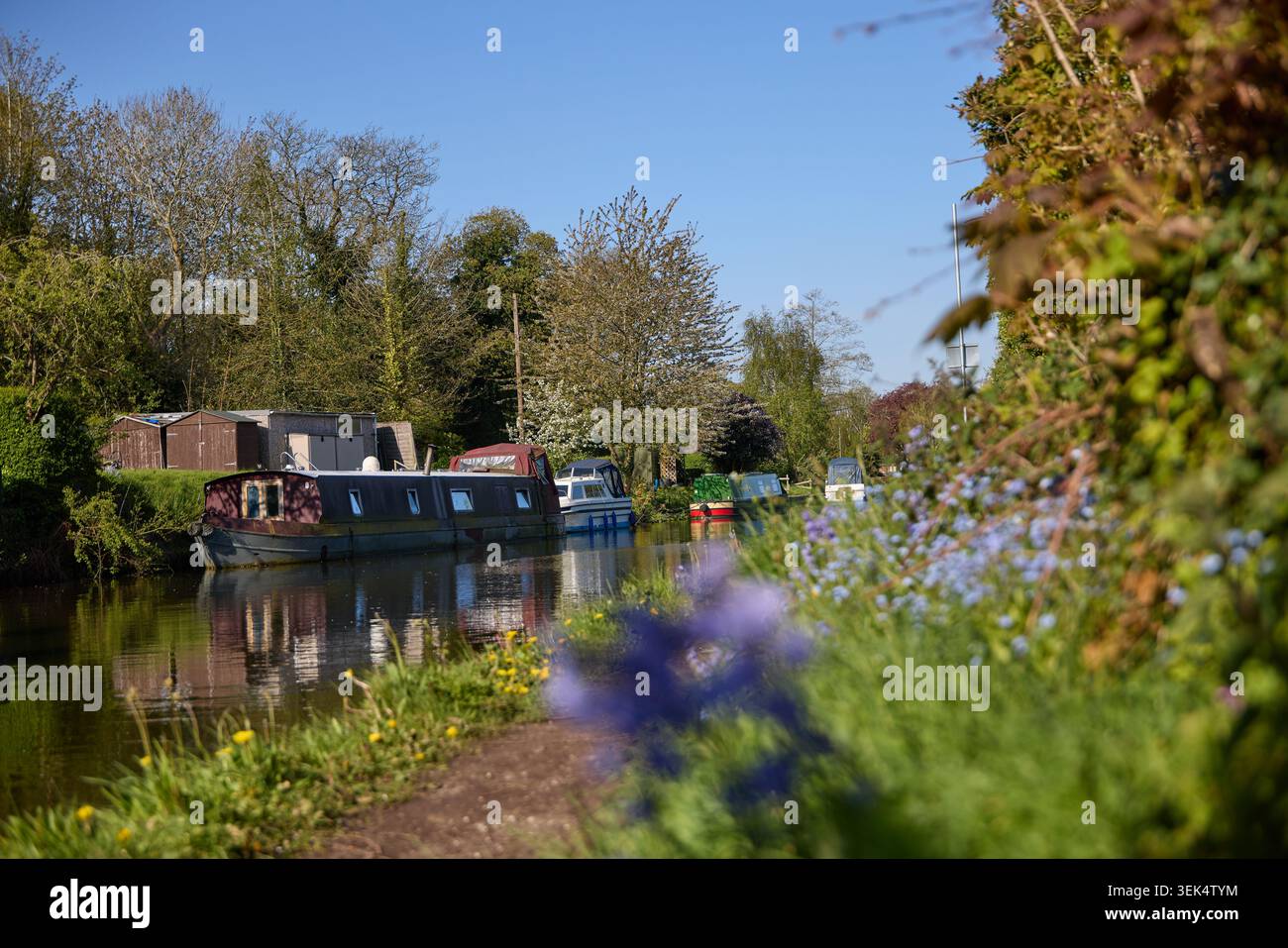 Villaggio di Grappenhall nel Borough di Warrington nel Cheshire. Nella foto è stato raffigurato il Bridgewater Canal nell'area del ponte Stanny Lunt Foto Stock