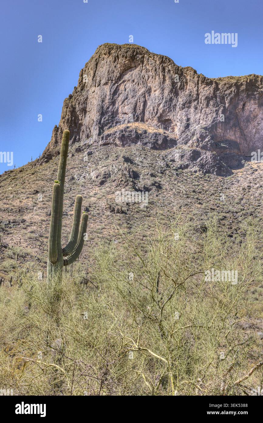 Picacho Peak State Park, Arizona USA Foto Stock