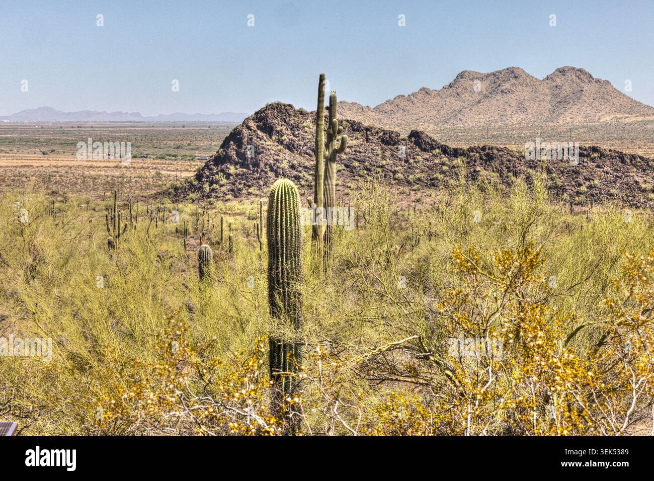 Picacho Peak State Park, Arizona USA Foto Stock