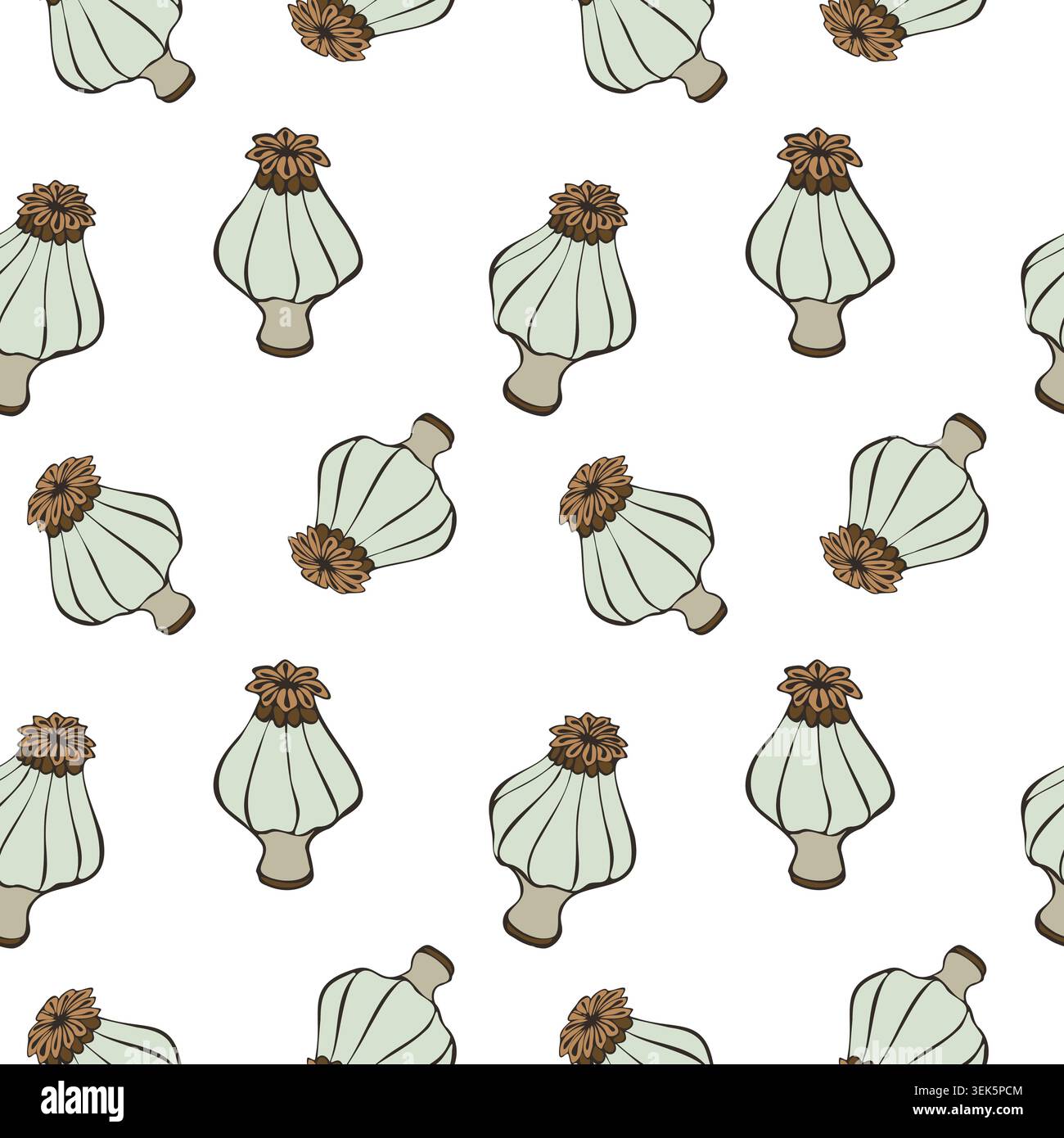 motivo vettoriale senza cuciture con teste di papavero asciutte stilizzate in colori pastello. Illustrazione botanica disegnata a mano, perfetta per tessuti, involucri Illustrazione Vettoriale