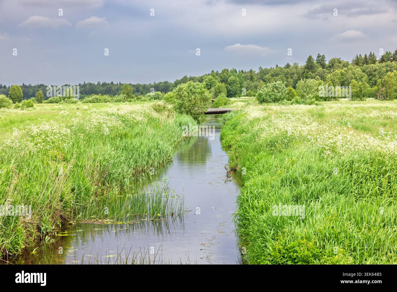 Fossato d'acqua su un paesaggio prato incolto Foto Stock