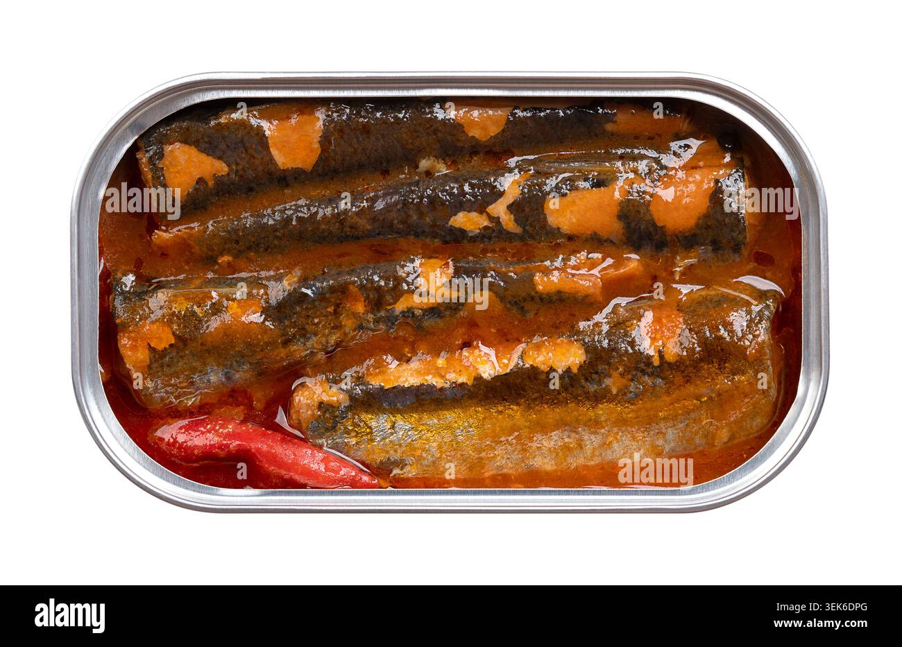Sardine in scatola in olio d'oliva con salsa di pomodoro piccante, in lattina. Pilchard europeo, Sardina pilchardus, un pesce piccolo e oleoso. Foto Stock