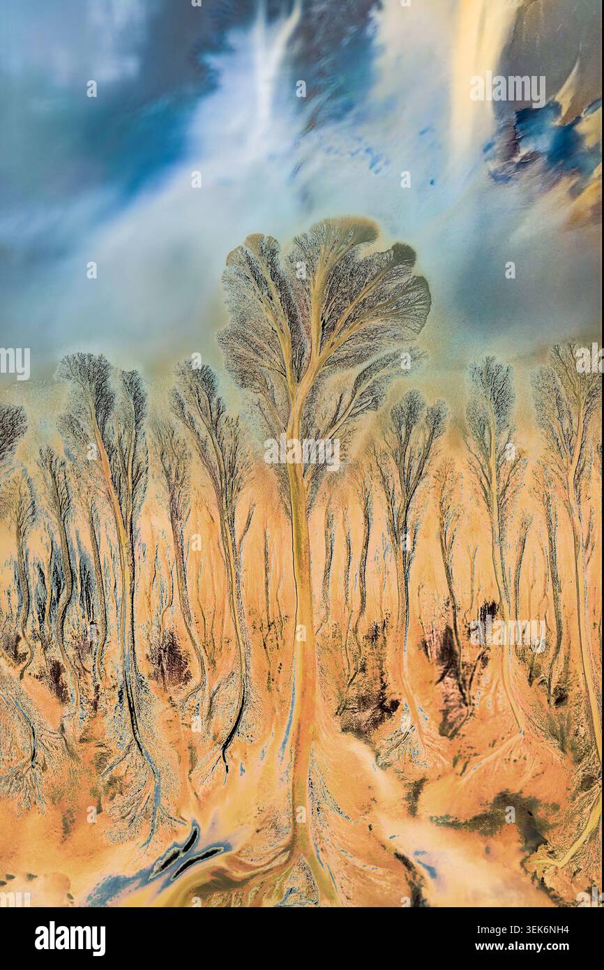 Immagine aerea di un albero naturale intagliato nelle distese fangose dal flusso ad alta velocità dei fori di marea. Foto Stock