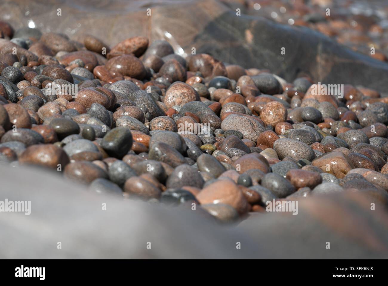 Primo piano di ciottoli colorati e bagnati sulla costa di Rocky Beach Foto Stock