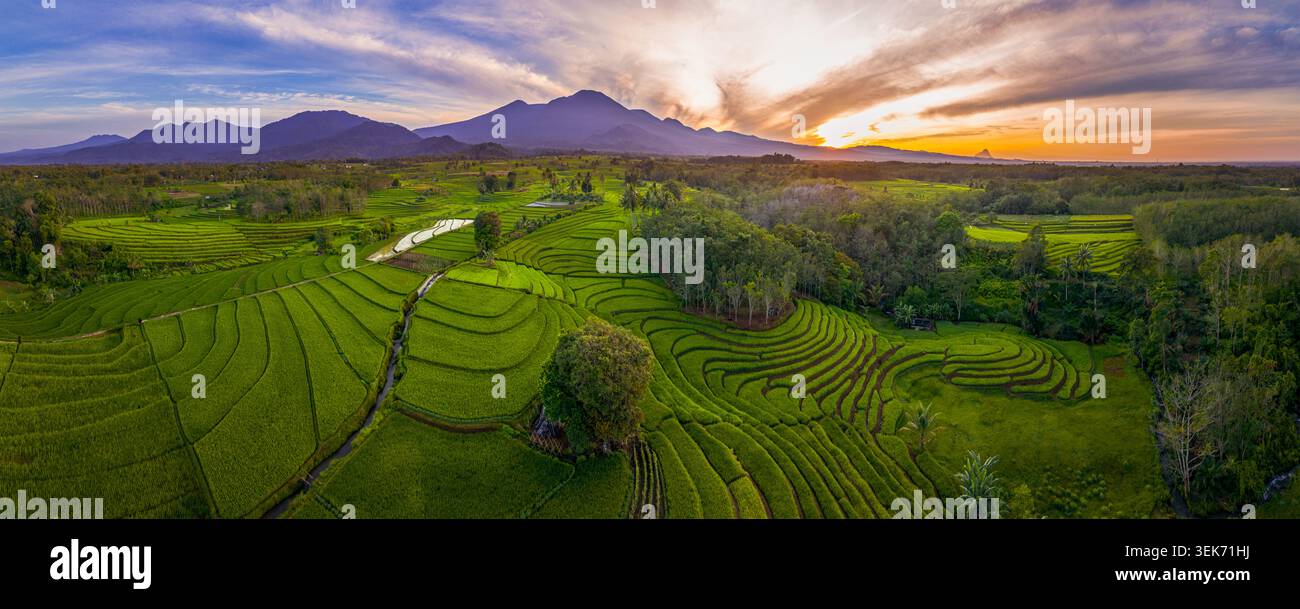 Vista aerea delle risaie a terrazza di Kemumu con lussureggianti campi verdi e montagne lontane sotto un cielo dorato al tramonto a arma Jaya, Bengkulu, Indonesia. Foto Stock