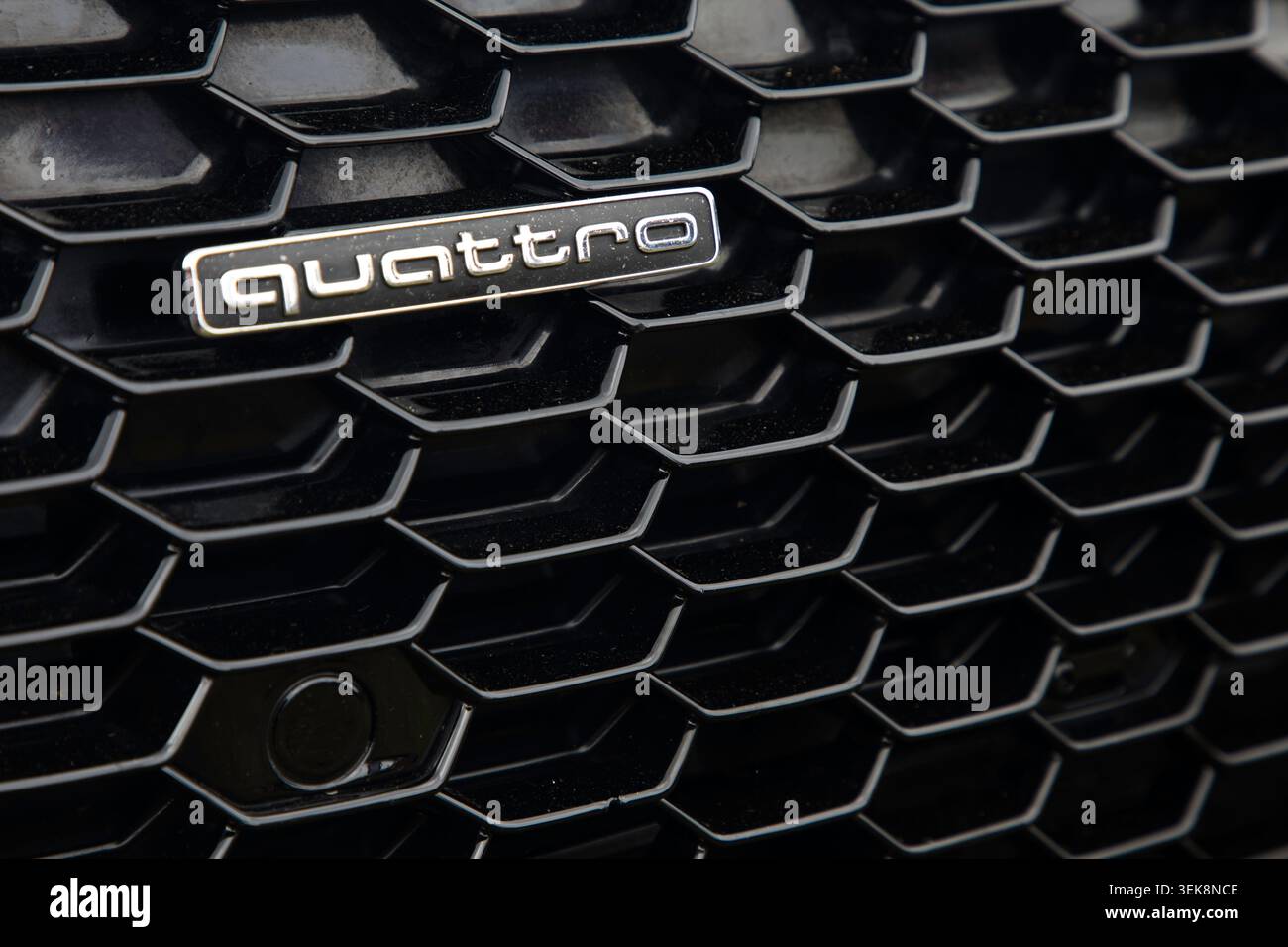 Primo piano del logo Audi quattro Foto Stock