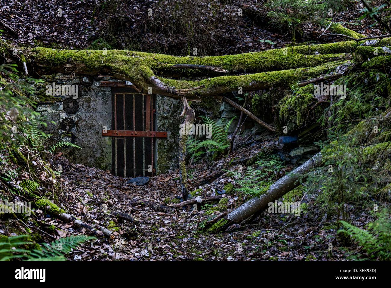 Un ingresso in miniera fatiscente con barre di ferro arrugginite in una parete rocciosa ricoperta di muschio, un'ex miniera di ardesia nei boschi vicino a Ludwigsstadt, Baviera, Germania Foto Stock