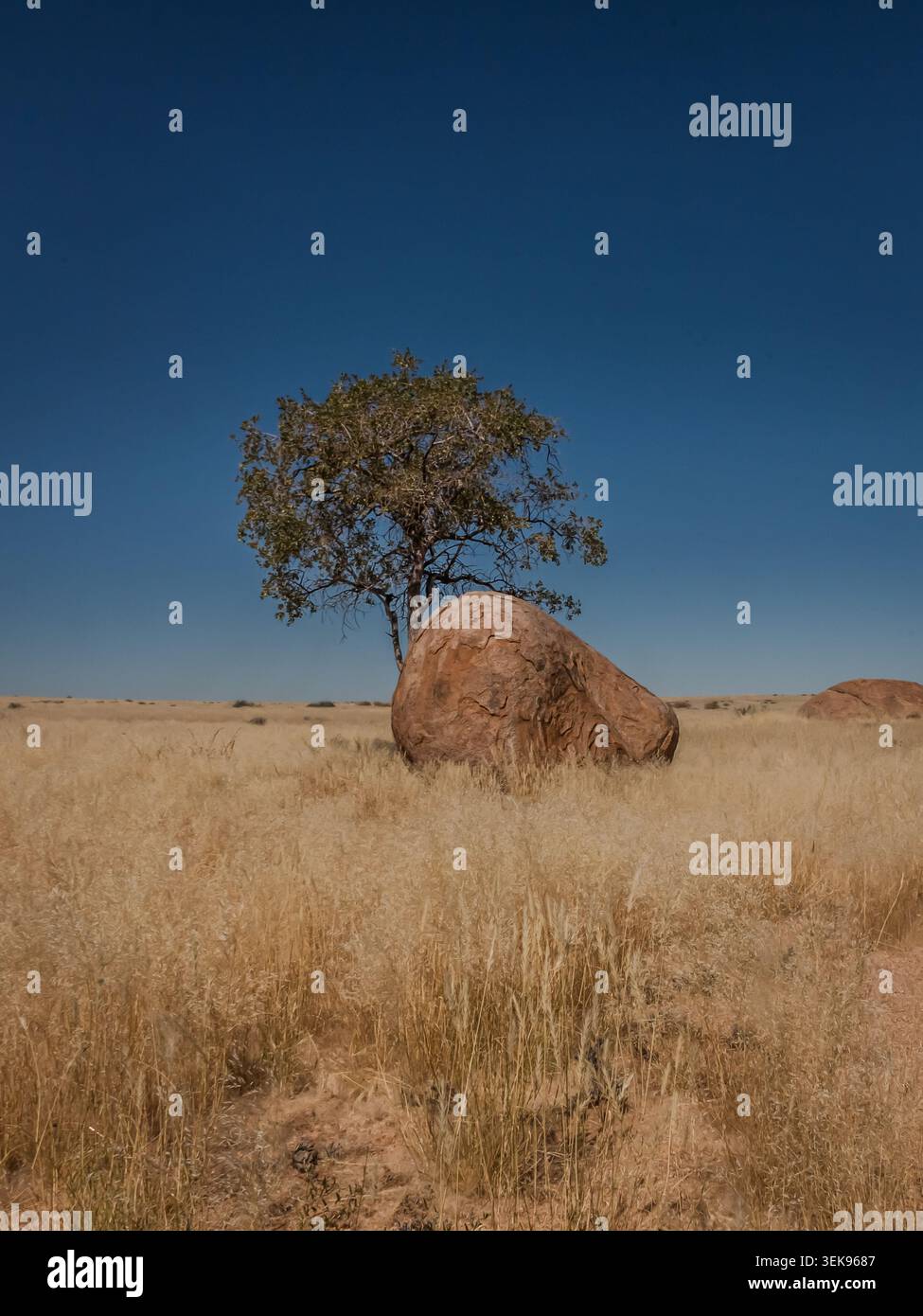 Il deserto del Namib presenta numerose splendide formazioni rocciose, angoli nascosti, rocce rotonde intervallate da erbe fini e locuste che si nascondono lì. Foto Stock