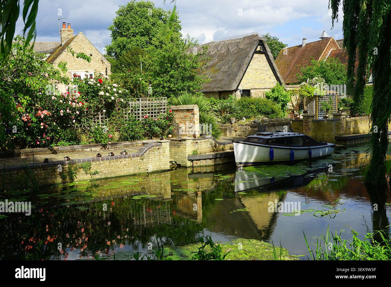 Tranquilli giardini lungo il fiume a Godmanchester Foto Stock