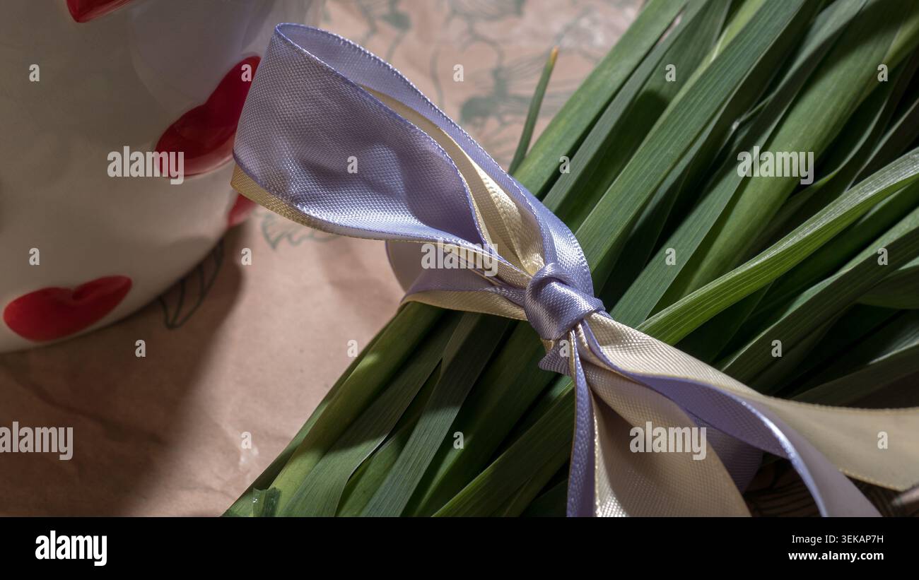 Primo piano di foglie verdi legate con nastro bianco e lavanda accanto alla tazza in ceramica con cuori rossi Foto Stock