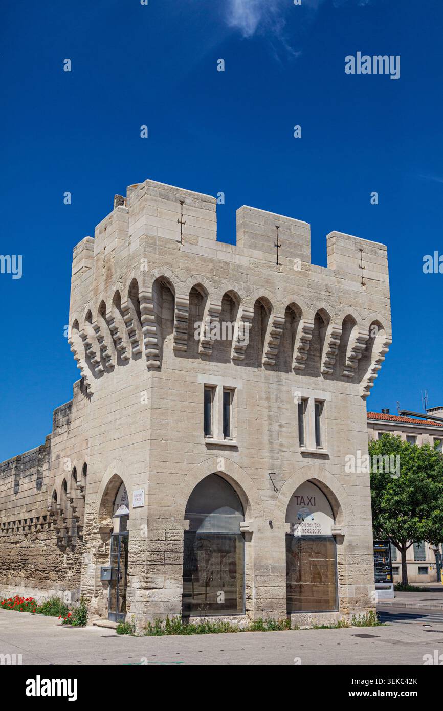 Parte delle mura della città vecchia di Avignone in Provenza Francia Foto Stock