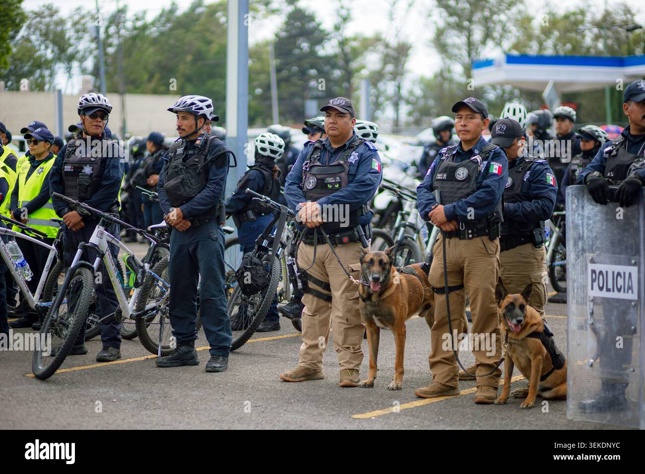 Gli agenti di polizia con unità canine e biciclette sono in formazione di sicurezza al di fuori di un enorme evento pubblico per la sorveglianza. Foto Stock