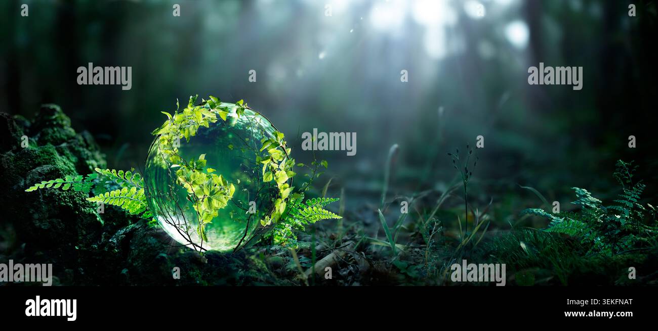 Giornata della Terra - lascia il Globe di vetro con continenti verdi sul muschio nella Foresta oscura sfocata Foto Stock