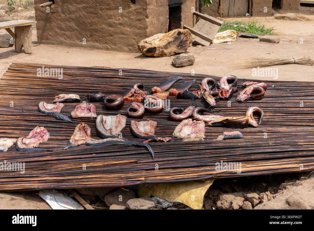 Uomo africano che prepara e fuma pesce utilizzando un forno tradizionale a fango in un villaggio rurale, mostrando i metodi di preparazione del cibo locale e li quotidiani Foto Stock