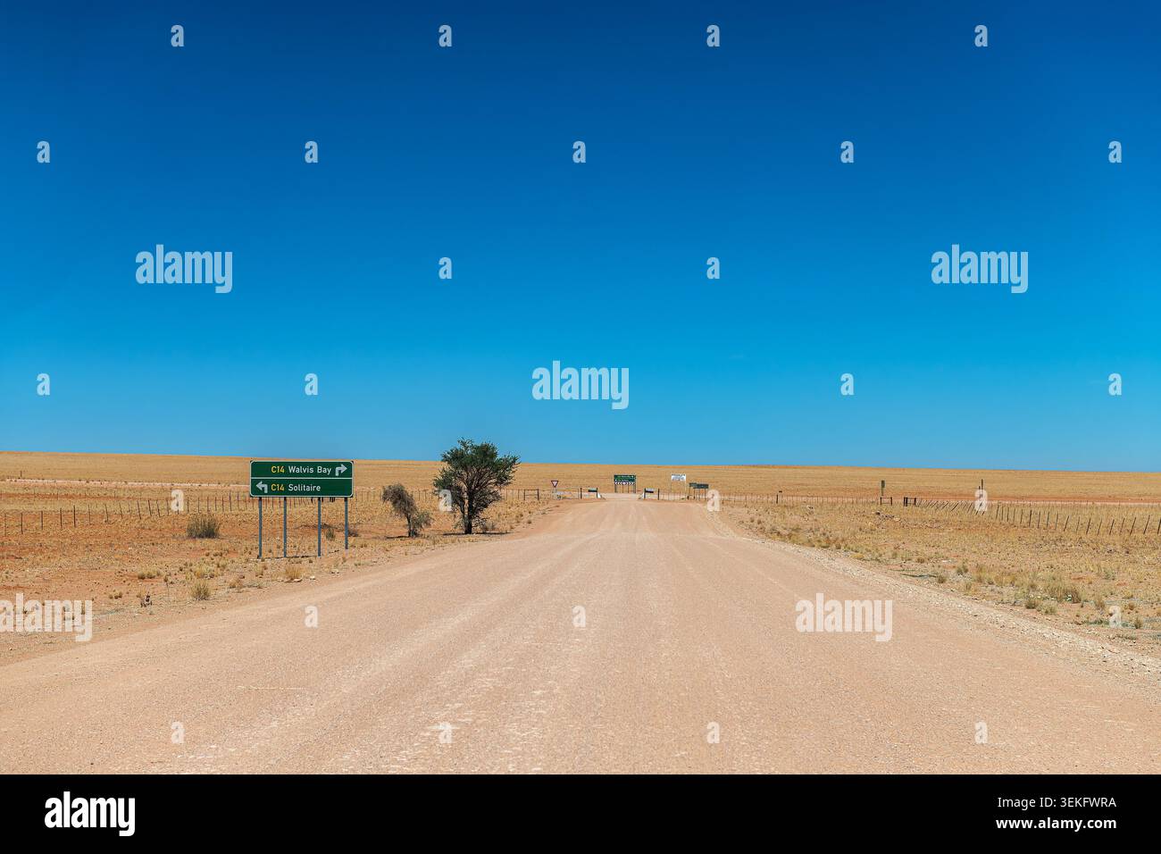 C 26 strada sterrata nel deserto del Namib, Namibia Foto Stock