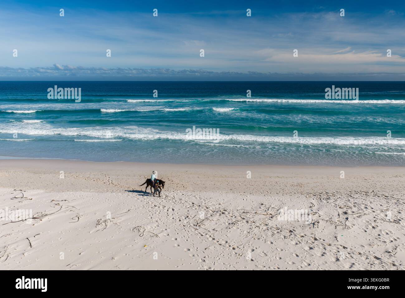 Cavalcate sulla spiaggia di sabbia chiara lungo Cape Peninsula, città del Capo Foto Stock