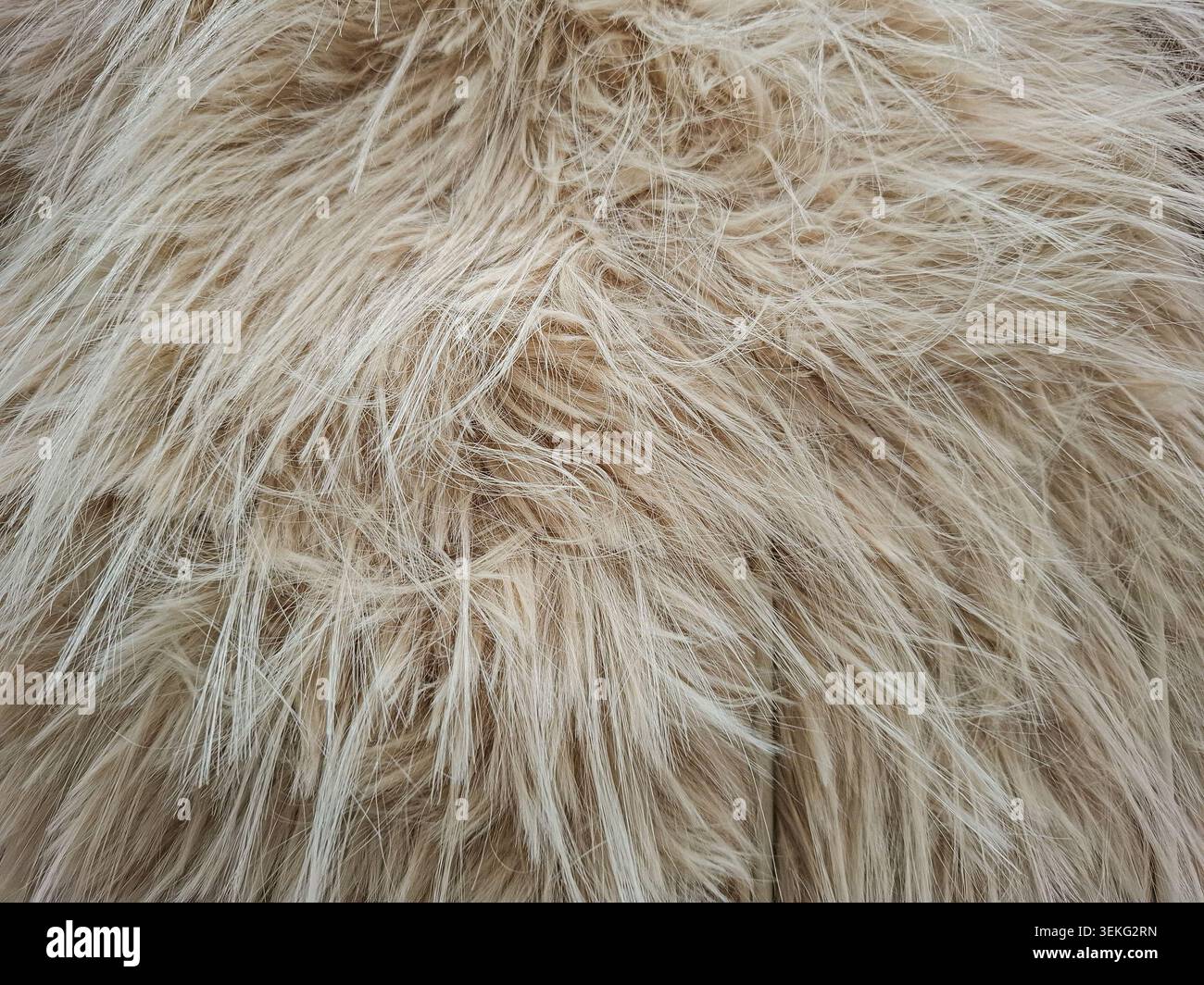 Una vista ravvicinata della pelliccia sintetica a pelo lungo. La texture morbida e il colore beige chiaro lo rendono ideale per gli sfondi tessili in arredamento o alla moda. Foto Stock
