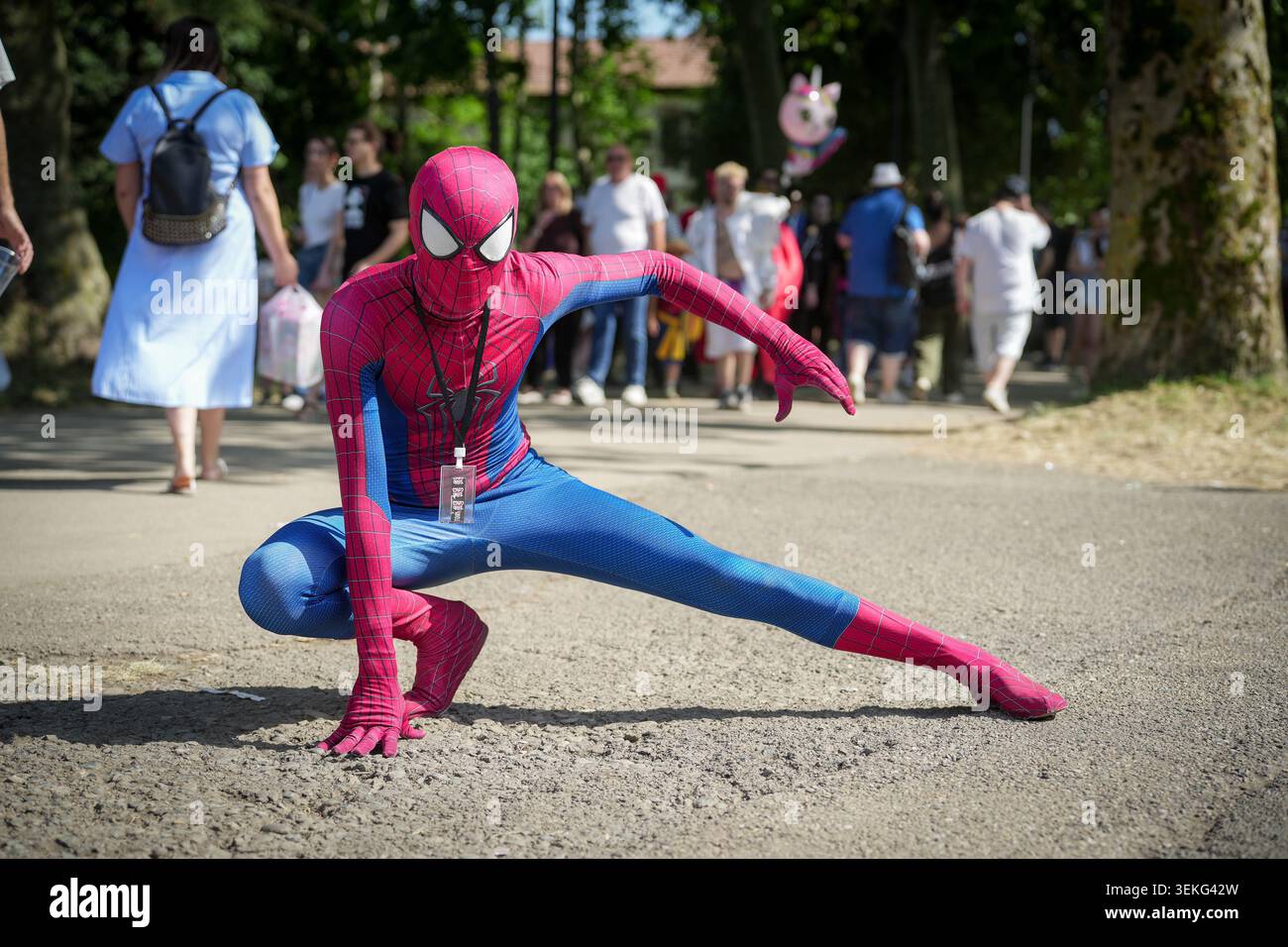 Un cosplayer vestito con una classica tuta di Spider-Man rossa e blu colpisce una caratteristica posa di accovacciamento su un sentiero durante un festival all'aperto. Foto Stock