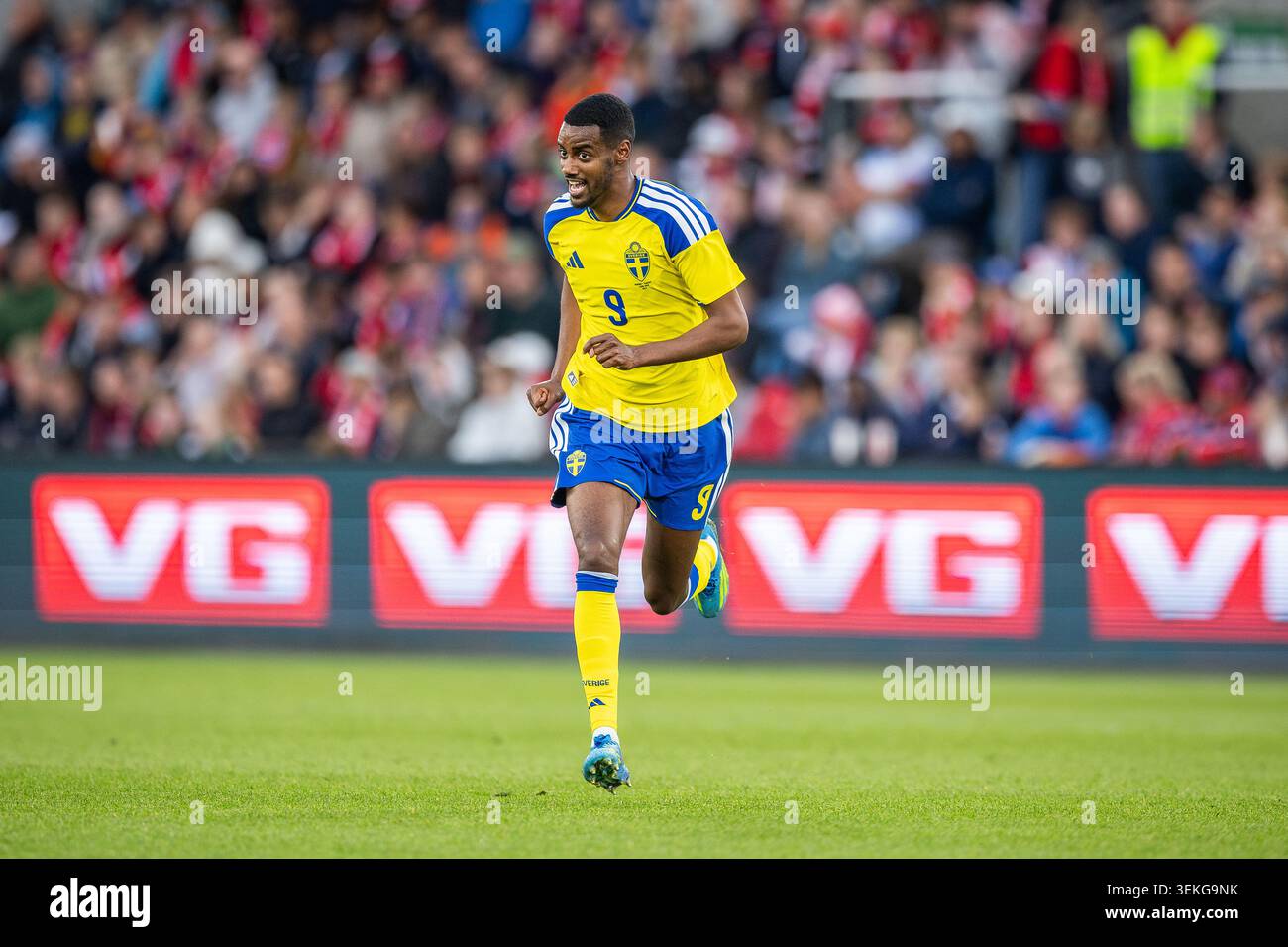 Oslo, Norvegia, 1 giugno 2026, Alexander Isak in Norvegia contro Svezia Coppa del mondo warm up amichevole allo stadio Ulleval, Anne-Marie Forker/Alamy Live News Foto Stock