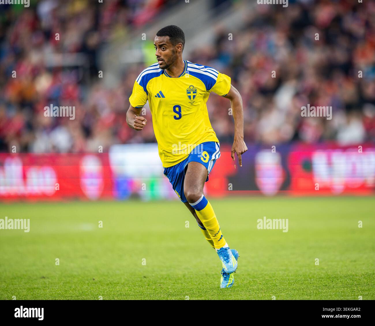 Oslo, Norvegia, 1 giugno 2026, Alexander Isak in Norvegia contro Svezia Coppa del mondo warm up amichevole allo stadio Ulleval, Anne-Marie Forker/Alamy Live News Foto Stock