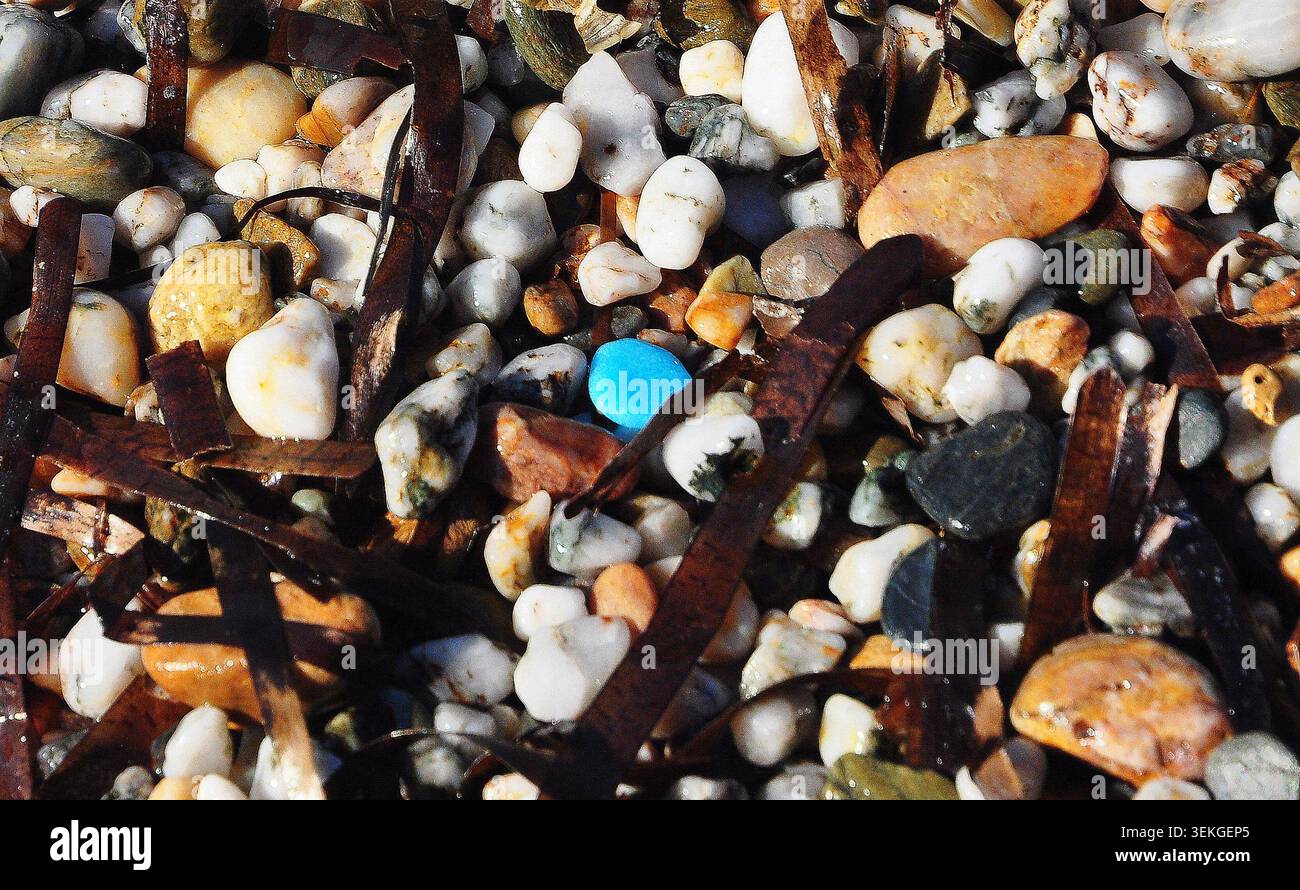 Piccolo ciottolo blu nella ghiaia da spiaggia. Foto Stock