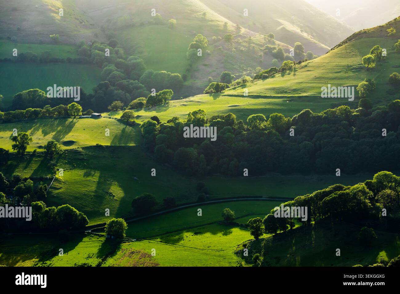 Serata primaverile su Shropshire Hills vicino a Church Stretton. Foto Stock