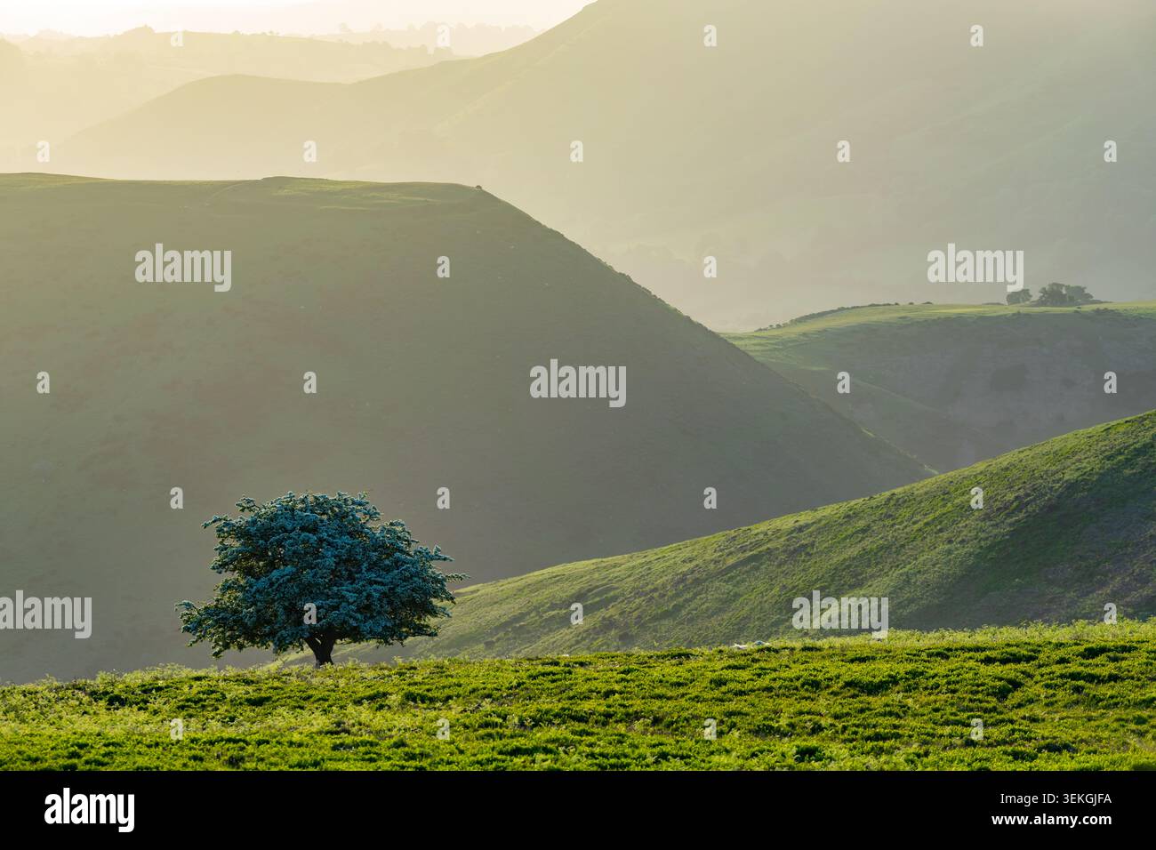 Mattina di primavera a Long Mynd, Shropshire Hills. Foto Stock