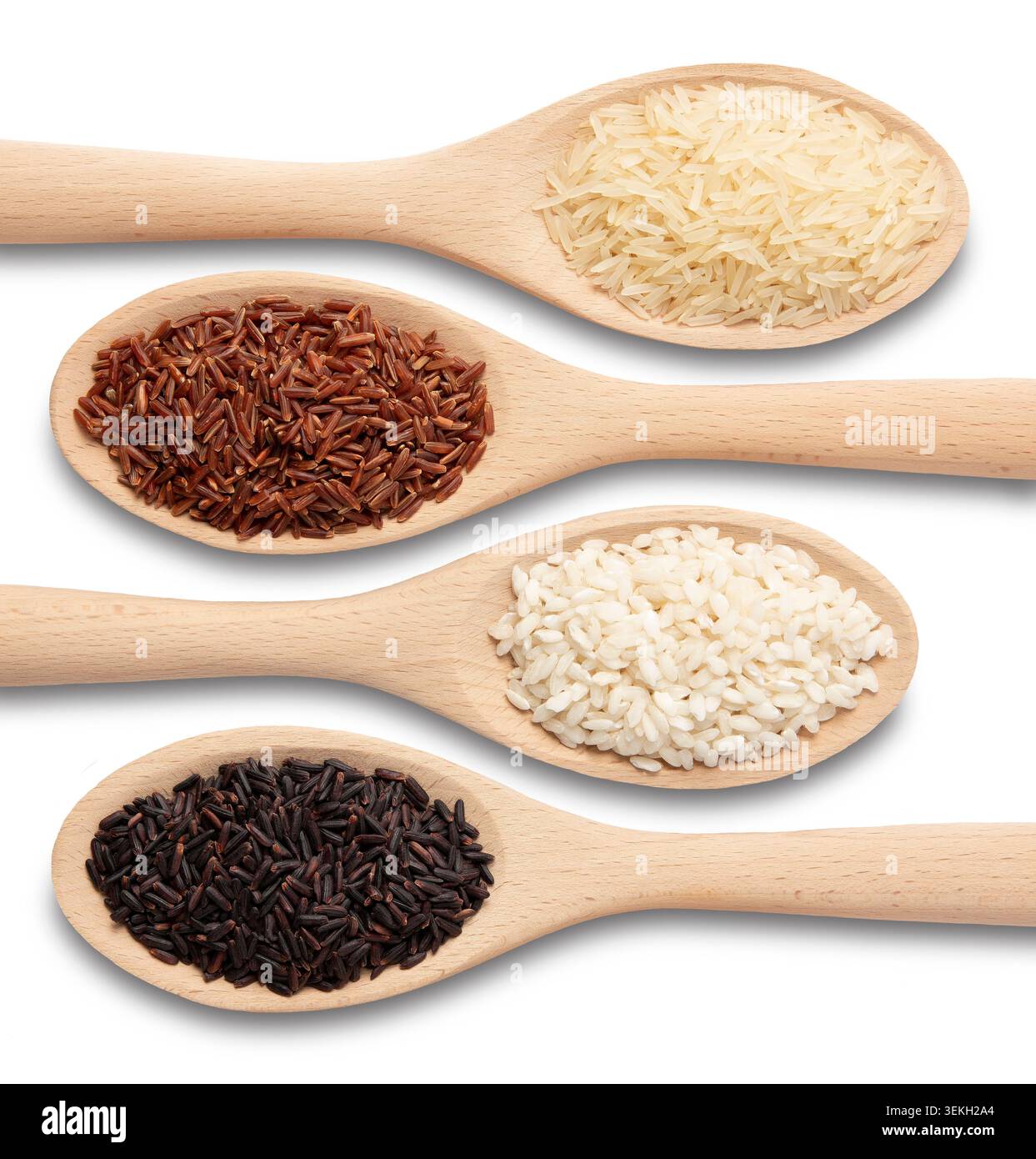 Varietà di riso assortite in cucchiai di legno isolati su sfondo bianco con grani di riso bianco, rosso, risotto e nero. Foto Stock