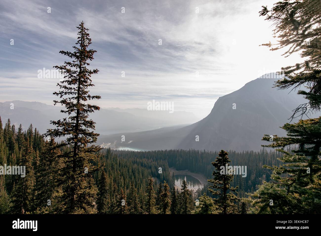 vista di una valle con una montagna in lontananza con strana luce solare e scarsa qualità dell'aria in estate Foto Stock