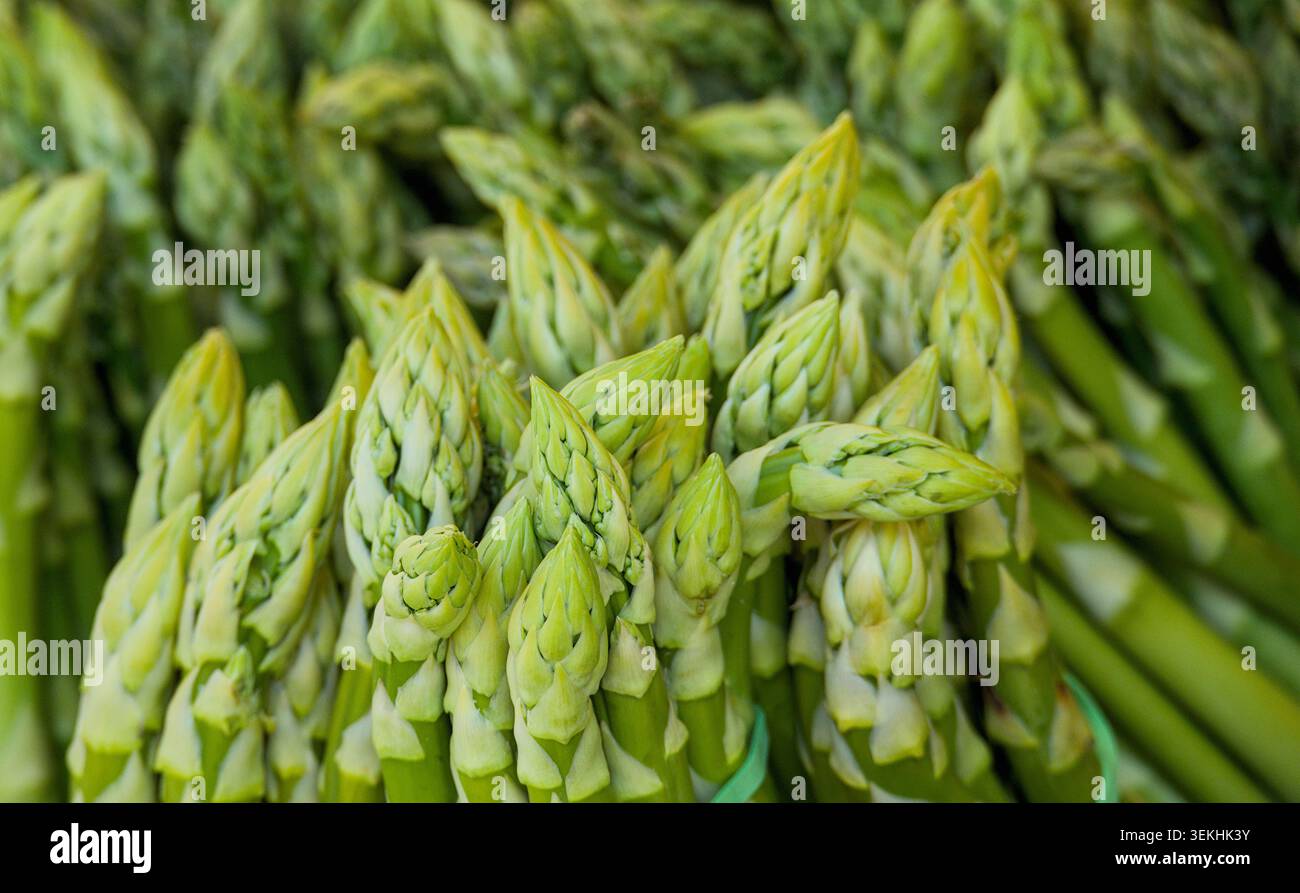 asparagi verdi freschi sul mercato in vendita Foto Stock