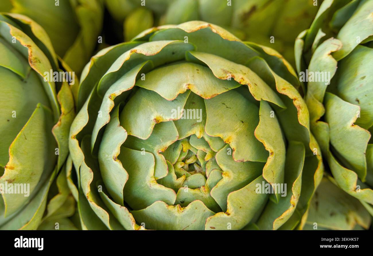 Carciofi freschi in un mercato agricolo Foto Stock