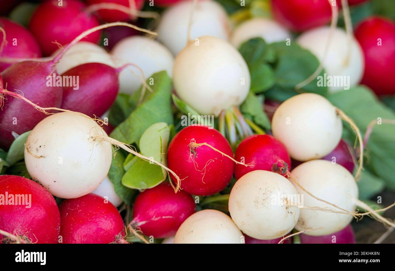 ravanello fresco e delizioso in vendita presso un mercato locale Foto Stock