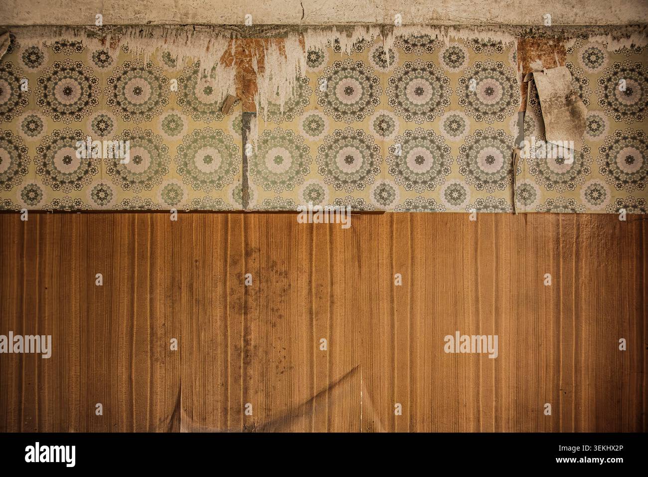 Vecchie strisce di carta da parati giù dalle mura, ex sanatorio polmonare e sito abbandonato di Grabowsee Sanatorium, Oranienburg, Brandeburgo, Germania. Foto Stock