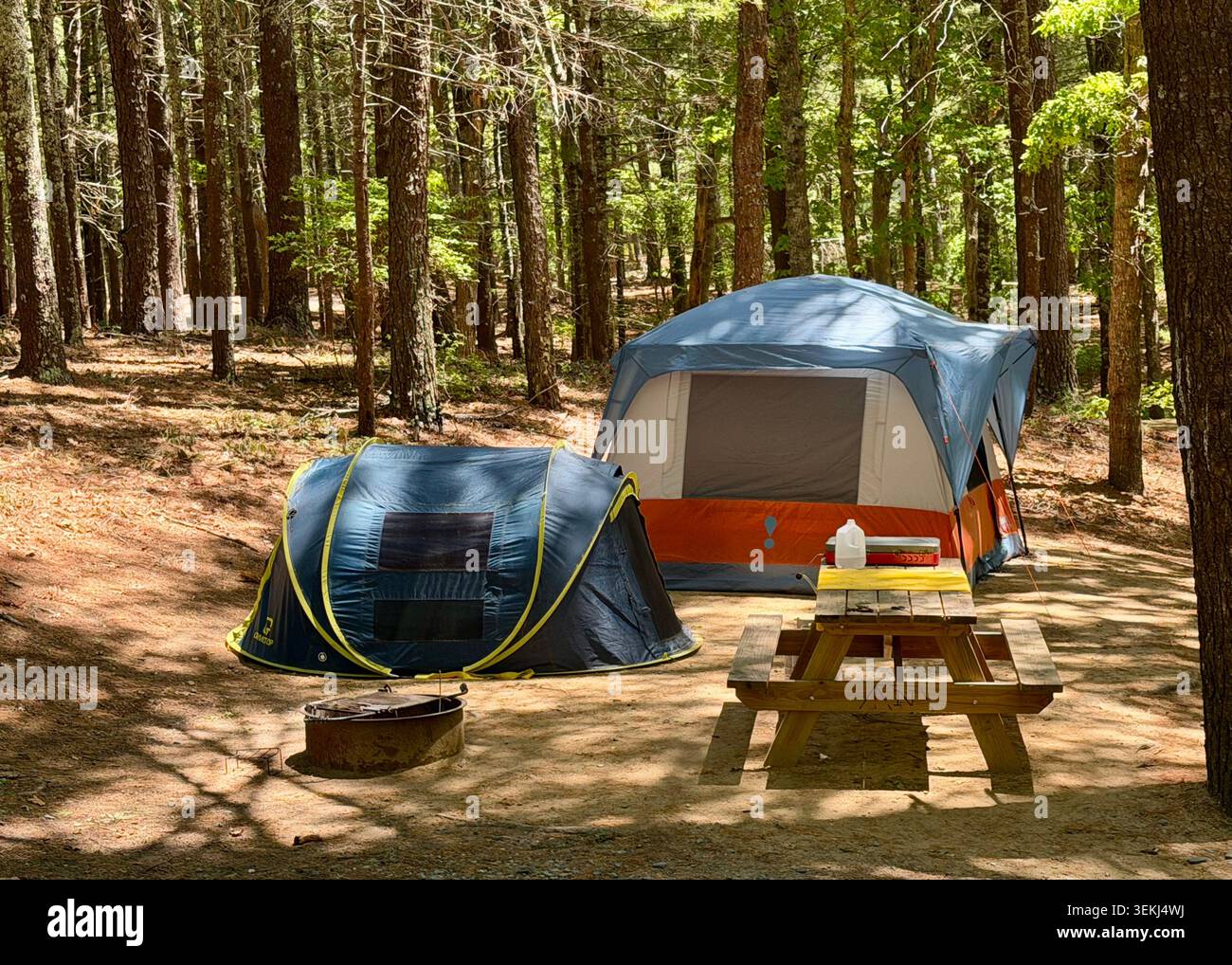 Tende allestite in un'area campeggio a Nickerson State Park, Brewster, Cape Cod, Massachusetts Foto Stock