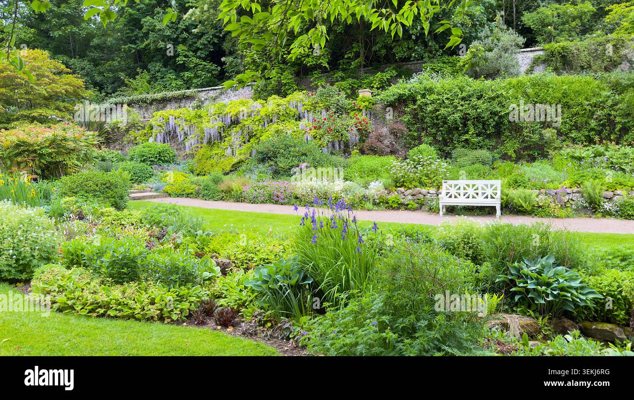 Giardino all'inglese in piena fioritura in primavera con una panchina di legno bianco e un sentiero di ghiaia wallington hall giardino recintato northumberland - Immagine stock catturata con smartphone