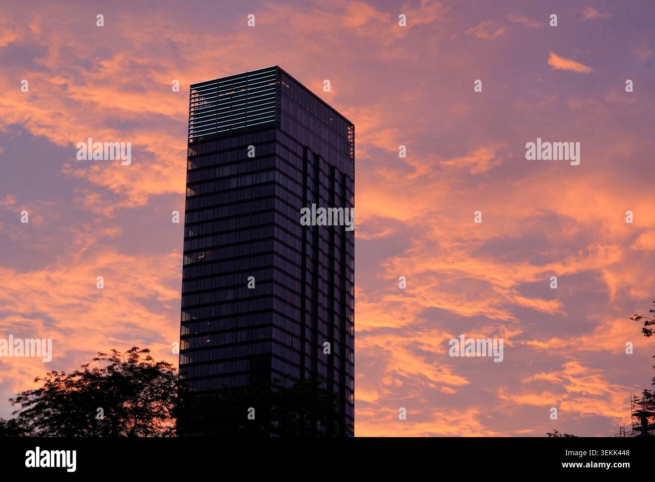 Grattacielo cosmopolita Twarda 4 di Helmut Jahn a Varsavia al tramonto rosa. Lussuosa torre residenziale in solitaria contro il cielo crepuscolo color caramelle Foto Stock