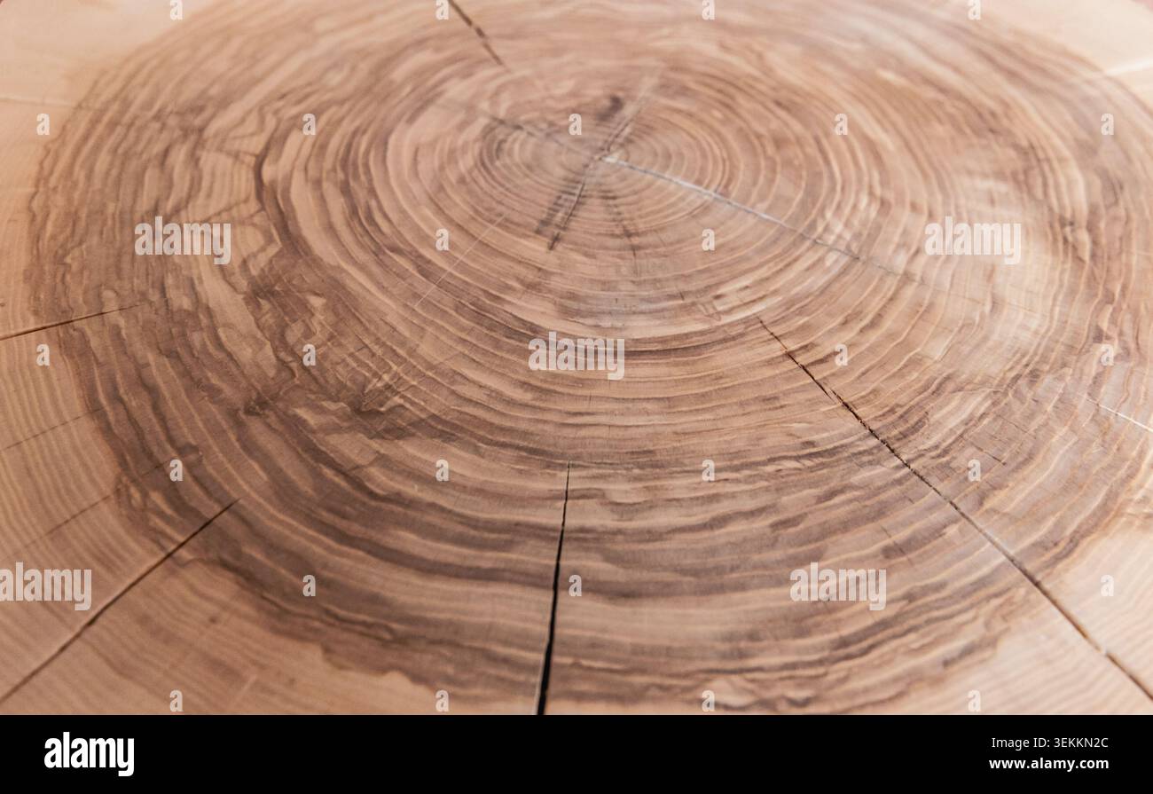 vista angolare di una superficie realizzata con tronchi di legno tagliati perpendicolarmente e quindi verniciati Foto Stock