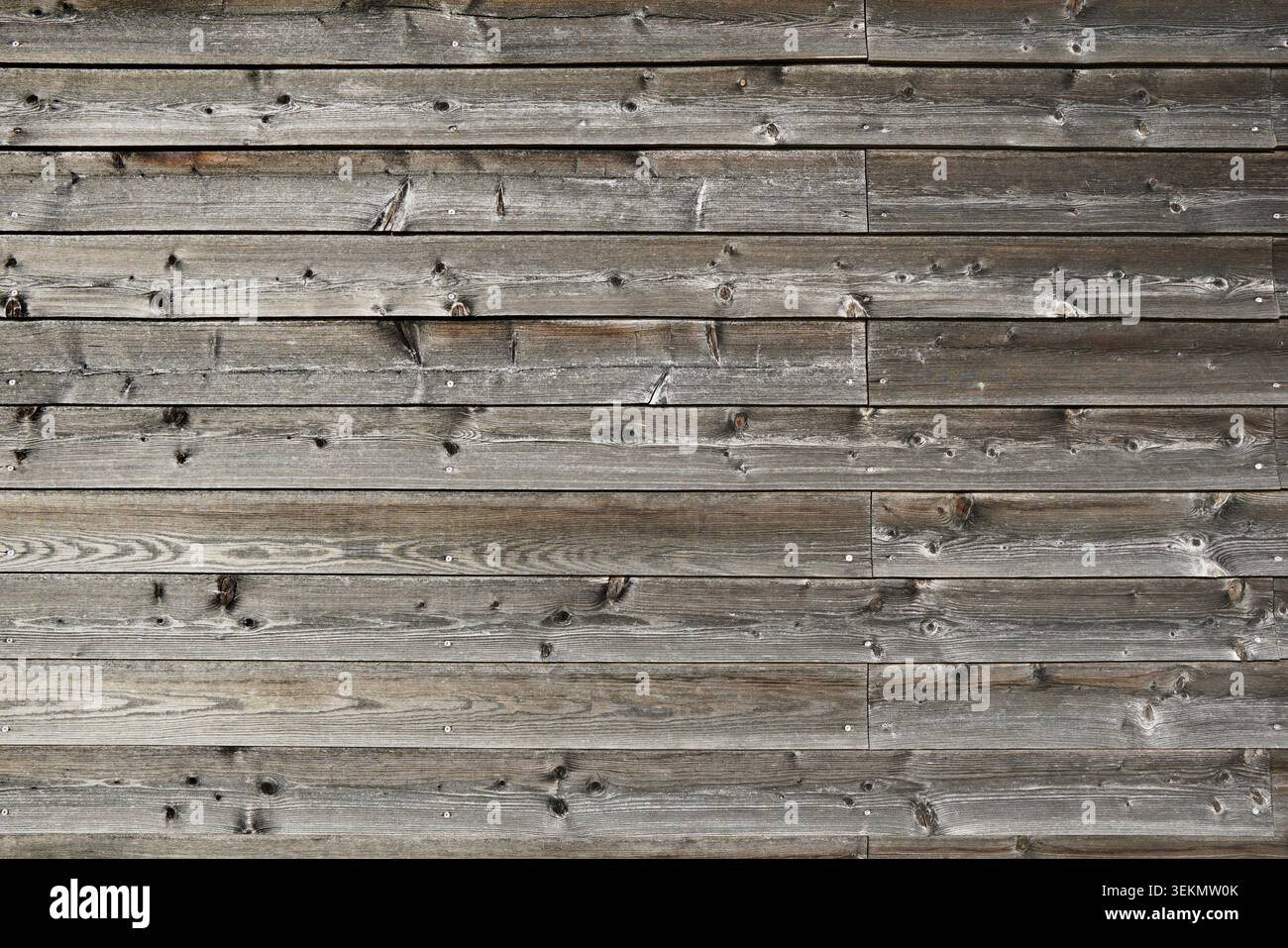 Fondo in legno rustico con vecchia struttura in legno grigio e tavole orizzontali per un design naturale Foto Stock