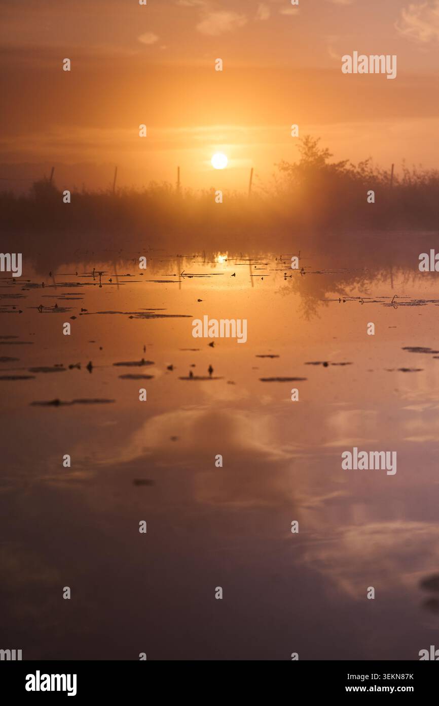 Il caldo sorgere del sole si illumina sopra un tranquillo lago nebbioso, con riflessi morbidi sull'acqua ferma, alberi distanti e un paesaggio tranquillo e suggestivo Foto Stock
