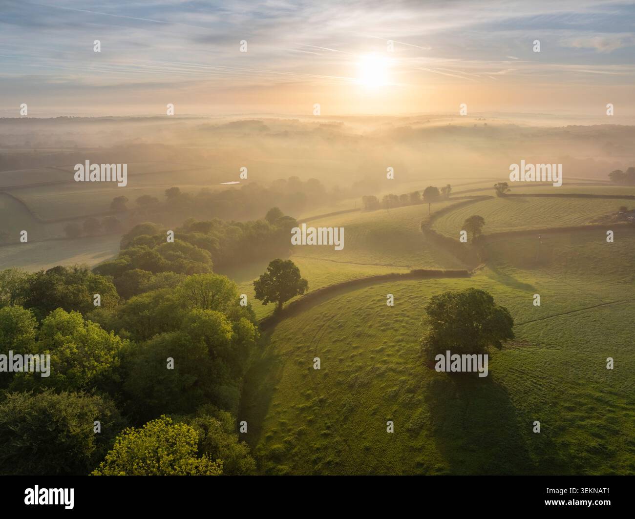 Luce soffusa del sole mattutino sulla nebbiosa campagna ondulata, Whiddon Down, Devon, Inghilterra. Primavera (maggio) 2026. Foto Stock