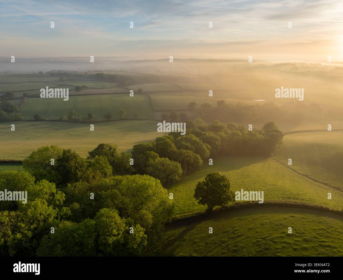 Luce soffusa del sole mattutino sulla nebbiosa campagna ondulata, Whiddon Down, Devon, Inghilterra. Primavera (maggio) 2026. Foto Stock