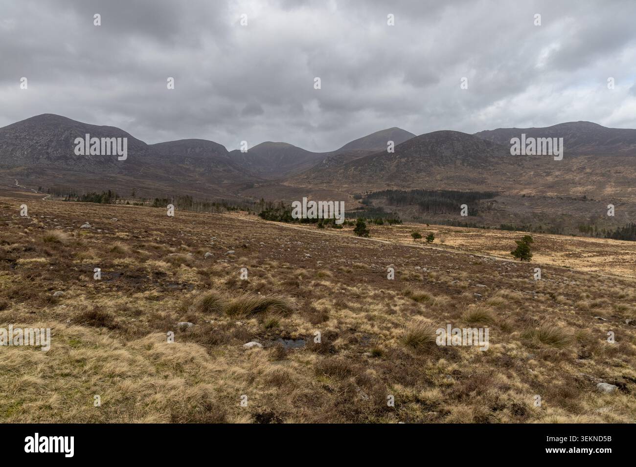 Paesaggio montano panoramico nei Monti Mourne, parco montano della Silent Valley sotto un cielo nuvoloso Foto Stock