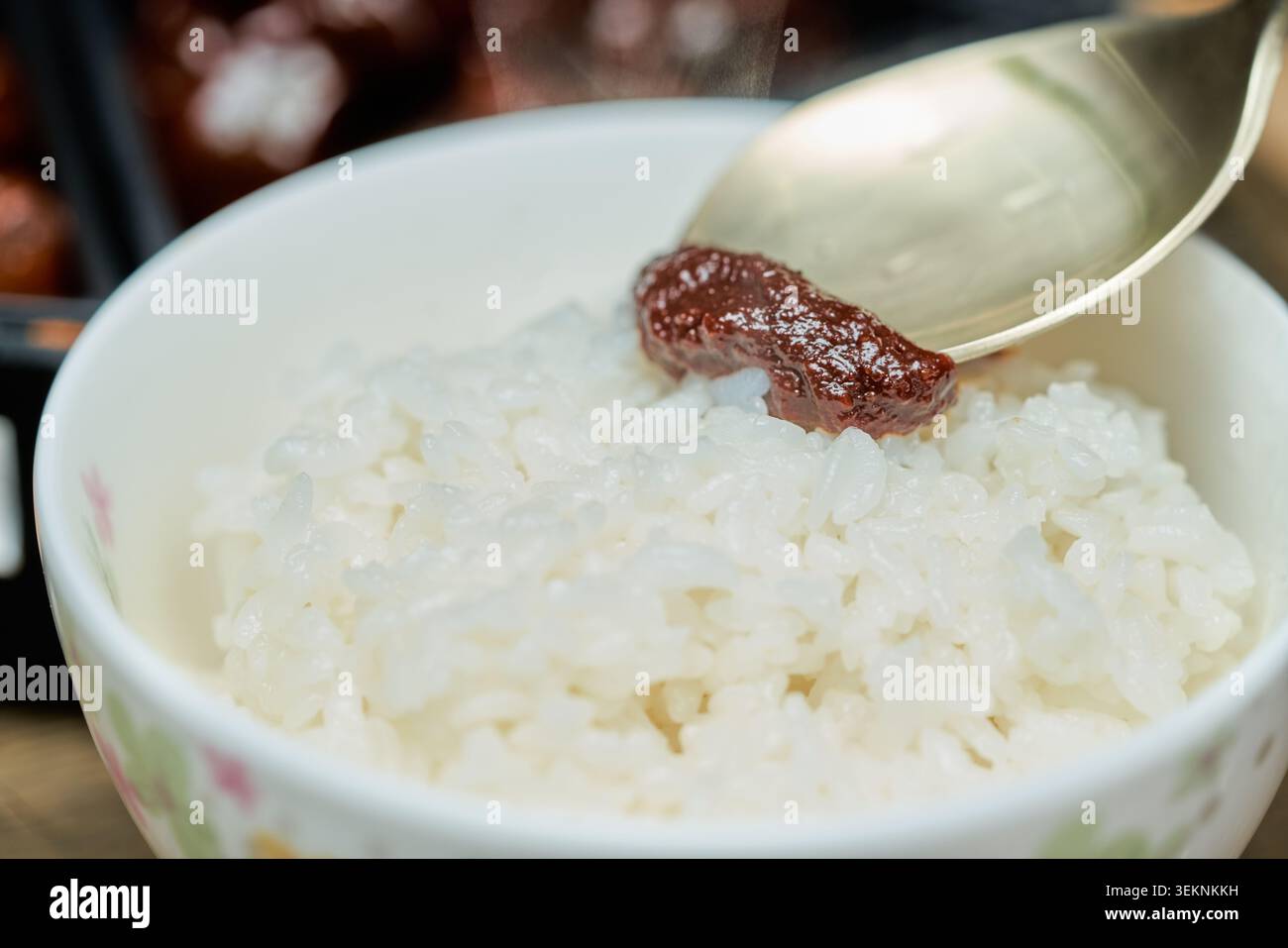 Sono presenti autentico gochujang Sunchang e vari jangajji piccanti. I primi piani mostrano la pasta di peperoncino rosso lucido servita sul riso bianco fumante. Foto Stock