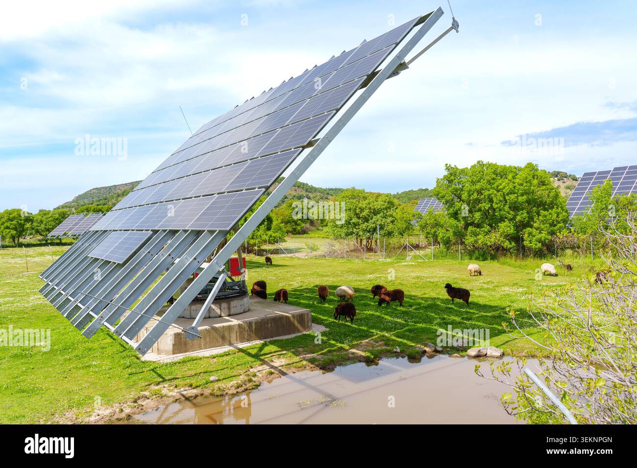 Ripresa commerciale ad alto angolo di un moderno sistema di pannelli fotovoltaici a doppio asse su fondamenta in cemento con pecore pascolanti e laghetto a Skalochori, Gree Foto Stock