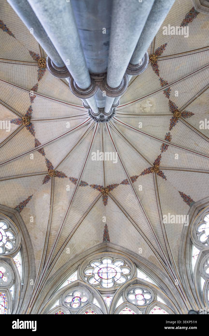 Soffitto a volta in stile gotico all'interno della cattedrale di Salisbury in Inghilterra Foto Stock