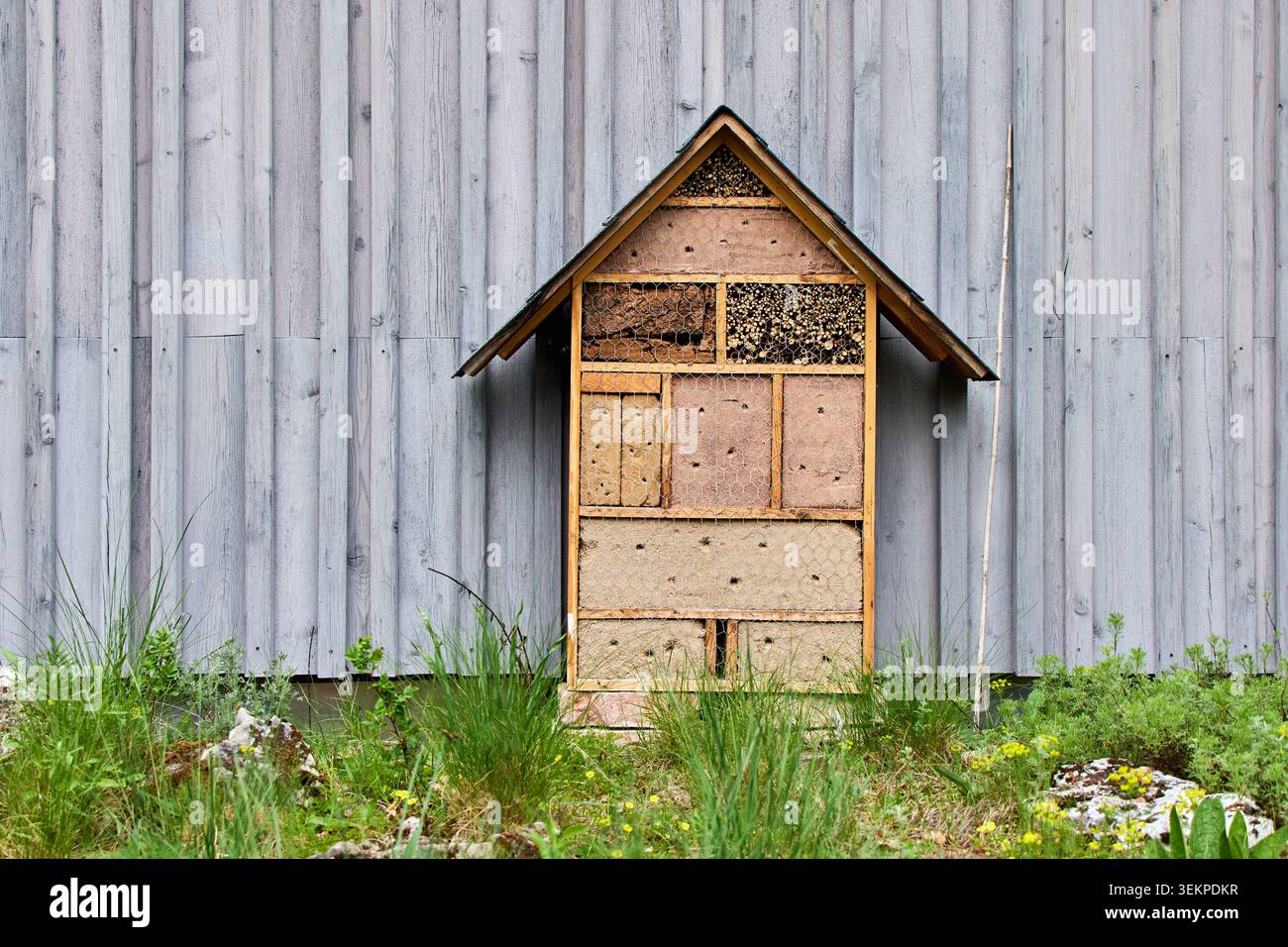 Hotel di insetti in legno con vari materiali naturali che si erge accanto a una parete di legno grigio in un giardino con erba verde. Foto Stock