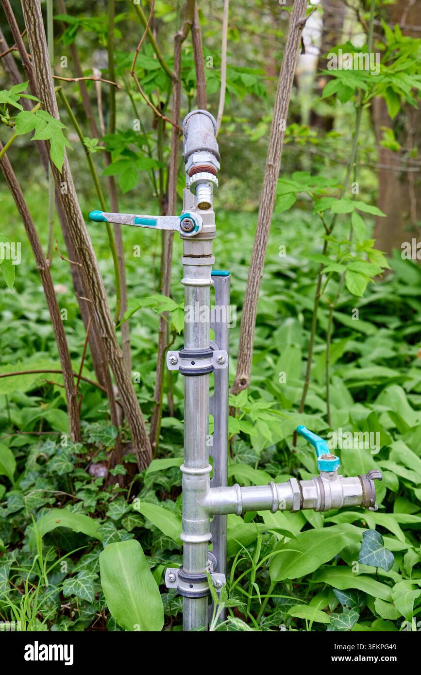 Un sistema di tubi dell'acqua in metallo per esterni con leve con valvola a sfera blu installato in un giardino verde o in un ambiente forestale per il controllo dell'irrigazione. Foto Stock