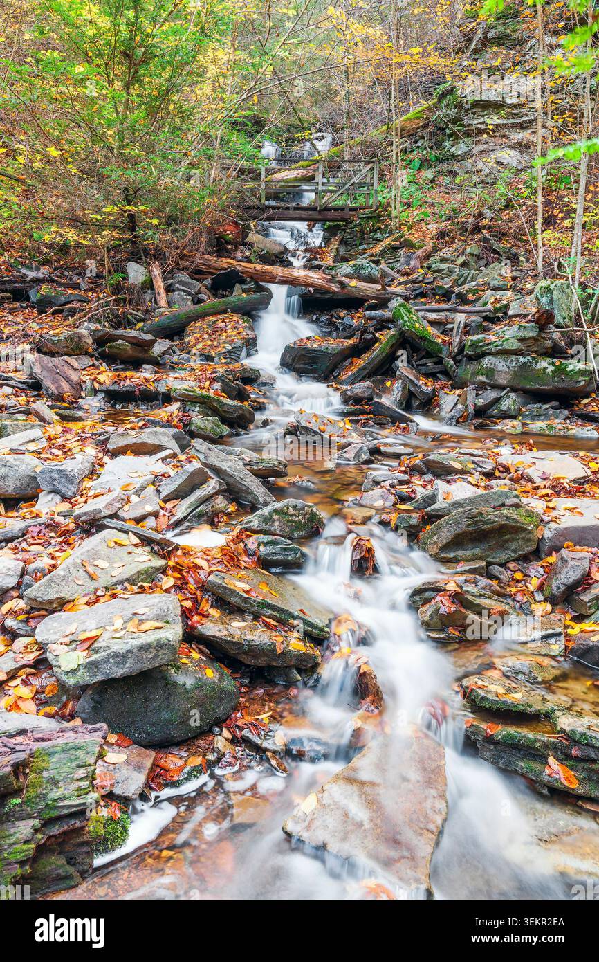 Affluente senza nome del ramo Ganoga Glen di Kitchen Creek. Falls Trail al Ricketts Glen State Park. Pennsylvania. STATI UNITI Foto Stock